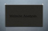 Analysing Websites