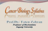 All lecturer of cancer dr faten zahran