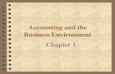 CHAPTER 1  Accounting and the Business Environment