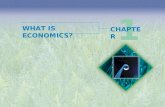 Economics 1st chapter