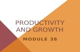 Module 38 productivity and growth