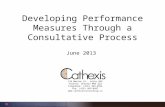 Developing Performance Measures Through a Consultative Process