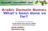 Arabic Domain Names: What’s been done so far?