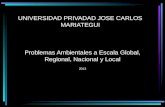 UNIVERSIDAD PRIVADAD JOSE CARLOS MARIATEGUI Problemas Ambientales a Escala Global, Regional, Nacional y Local 2013.