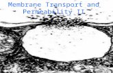 8-Membrane Transport II