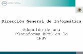 Dirección General de Informática Adopción de una Plataforma BPMS en la CNBV.