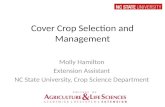 Cfsa sac 2013 cover crops (1)