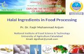 Halal ingredients in food processing