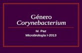 Género Corynebacterium M. Paz Microbiología I-2013.