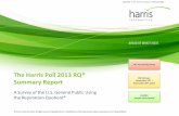 2013 RQ Summary Report FINAL (1)