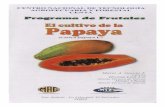 Guia Papaya 2003