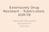Extensively Drug Resistant – Tuberculosis B10