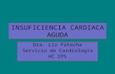 INSUFICIENCIA CARDIACA AGUDA Dra. Liz Fatecha Servicio de Cardiología HC IPS.