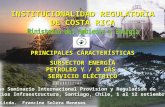 INSTITUCIONALIDAD REGULATORIA DE COSTA RICA PRINCIPALES CARACTERÍSTICAS SUBSECTOR ENERGÍA PETROLEO Y / O GAS SERVICIO ELÉCTRICO INSTITUCIONALIDAD REGULATORIA.