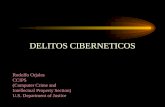 DELITOS CIBERNETICOS Rodolfo Orjales CCIPS (Computer Crime and Intellectual Property Section) U.S. Department of Justice.