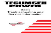 Tecumseh 2004-Pres Service Manual