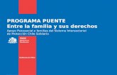PROGRAMA PUENTE Entre la familia y sus derechos Apoyo Psicosocial a familias del Sistema Intersectorial de Protección Chile Solidario.