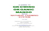 15766222 Guide to Growing Organic Mango With Natural Farming System