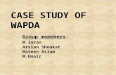 Case Study of Wapda