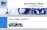 Ipsos – Napoleón Franco The Social Research and Corporate Reputation Specialists 1 The Social Research and Corporate Reputation Specialists CALI CÓMO VAMOS.