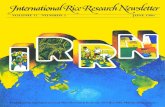 International Rice Research Newsletter Vol.11 No.3