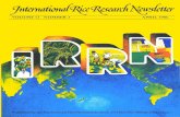 International Rice Research Newsletter Vol.11 No.2
