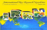 International Rice Research Newsletter Vol.9 No.2