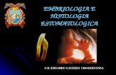 EMBRIOLOGIA E HISTOLOGIA ESTOMATOLOGICA C.D. EDUARDO CÁCERES CHOQUECUNSA.