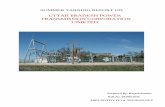 Power Grid Training Report