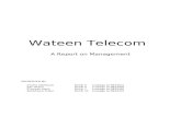 53106139 Wateen Telecom