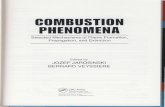 Combustion Phenomena -Candle