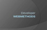 Web Methods Developer