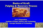 Kraft Pulping and Recovery Process Basics