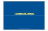 Chapter 2 - Formation Damage