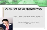 MTRA. ANA GABRIELA RAMOS MORALES. COMITAN DE DOMINGUEZ, CHIAPAS. MÉXICO MAYO 2010 1 CANALES DE DISTRIBUCION.