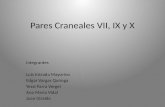 Pares Craneales VII, IX y X