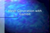 Gambit Mesh Funda