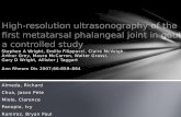 High-Resolution Ultrasonography of the First Metatarsal Phalangeal Joint