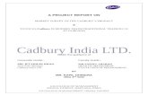 A Project Report on Cadbury 75 Pages