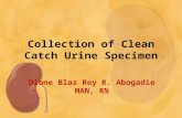 Collection of Clean Catch Urine Specimen