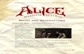 Alice: Madness Returns - Notes and Observations