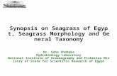 Synopsis on Seagrass of Egypt, Seagrass Morphology and General Taxonomy