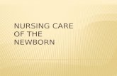 44301775 Nursing Care of the Newborn