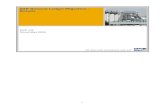 SAP General Ledger Migration Service - Detailed Presentation[1]