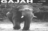South India-Asian Elephant 2006 Gajah