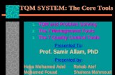 TQM and Problem Solving7 MGT TOOLS