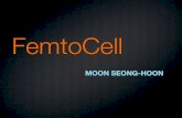 overview of Femtocell