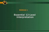 Essential 12-Lead Interpretation MODULE 1. Essential 12-Lead ECG Interpretation GoalsGoals –Recognize and localize AMI on the ECG –Feel comfortable with.