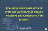Improving Livelihoods in Rural West and Central Africa through Productive and Competitive Yam Systems R. Asiedu, IITA.
