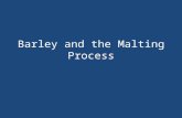 Barley and the Malting Process. Overview The purpose of the malting process is to convert insoluble starch chains within grains into water soluble starches.